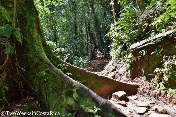 The Enchanting Rio Celeste - Tips for the Hike