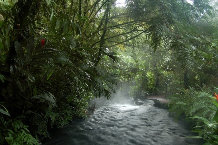 Tabacon Hot Springs | Two Weeks in Costa Rica