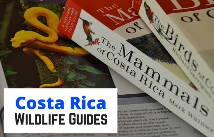 Best Costa Rica Wildlife Guides | Two Weeks in Costa Rica