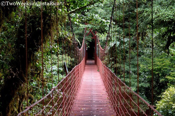 Hanging Bridge in Monteverde 