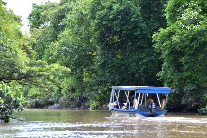 palo verde wildlife boat tour
