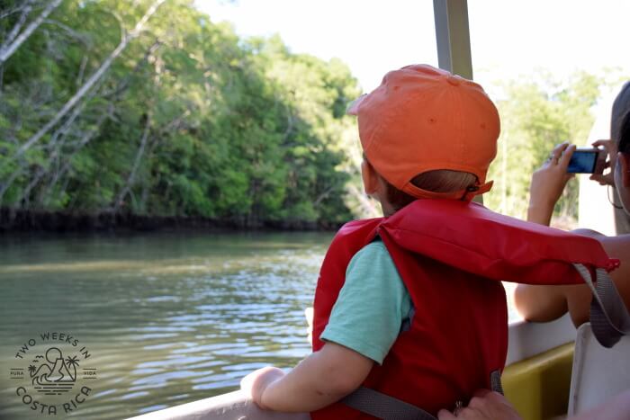 Boat Tour Palo Verde - Costa Rica Family Itinerary