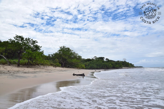 Playa Lagartillo Costa Rica