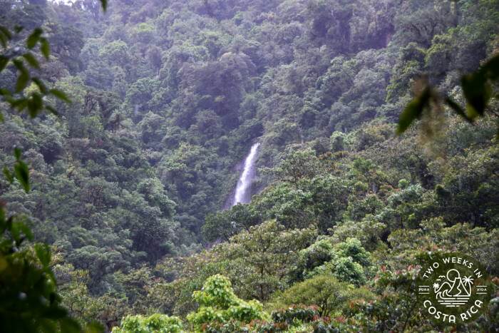 View Waterfall Trail Tapanti