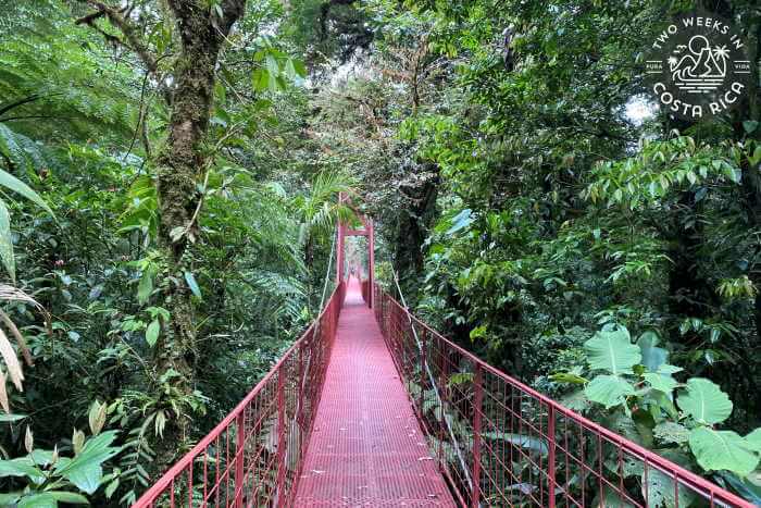 Red hanging bridge Monteverde
