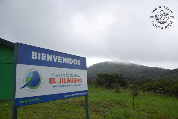 Sign El Jilguero