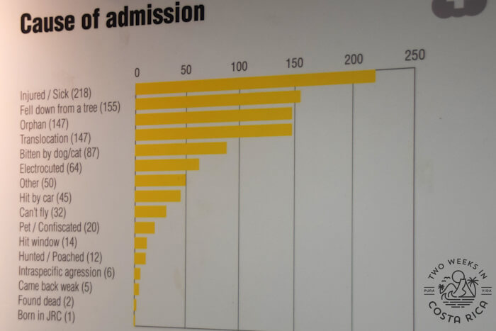 Chart showing statistics about the reason for animal admission into the center