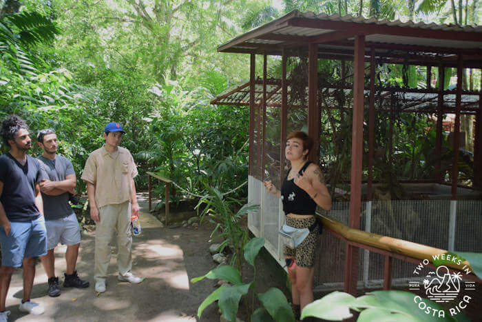Tour guide in front of animal enclosure