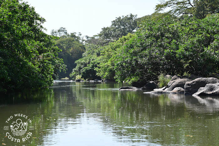 Scenery Lower Tenorio River
