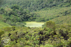 Green Lagoon view El Silencio tour